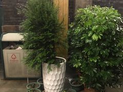 -花楸树下(观水路店)