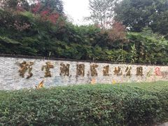 -重庆彩云湖湿地公园