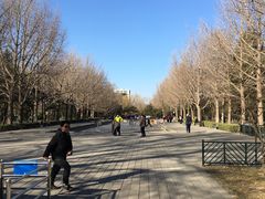 -玲珑塔公园
