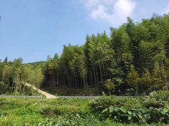 -莫干山风景区