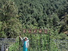 -苍山感通索道