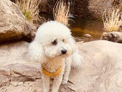 -湖洞水自然风景区