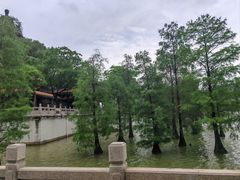 -顺峰山公园