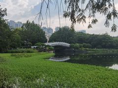 -南宁南湖公园