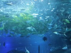 -福州罗源湾海洋世界旅游区