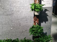 -宽窄巷子火锅(周浦店)