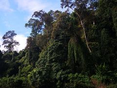 -乌鲁淡布隆国家公园