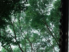-南京市民俗博物馆(甘熙故居)