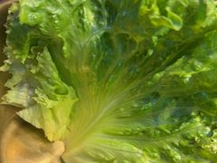 -杨记齐齐哈尔烤肉(总店)