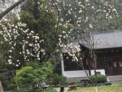 -团城山公园