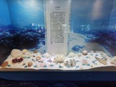 -温州博物馆