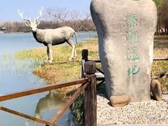 -溱湖国家湿地公园