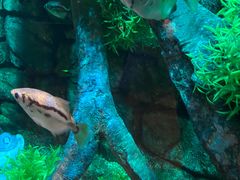 -沈阳海洋探索中心