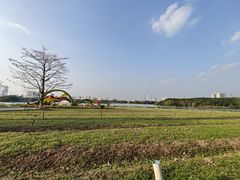 -海珠湖公园