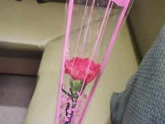 -海底捞火锅(南山京基百纳店)