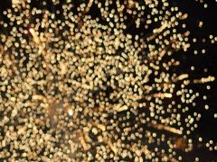 -丫丫蟹庄·苏式园林农家乐·阳澄湖大闸蟹(阳澄湖莲花岛店)