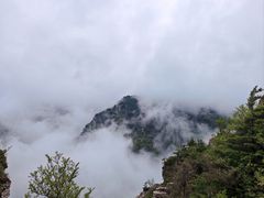 -牛背梁国家森林公园