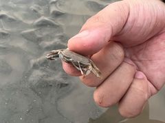 -南汇新城海滩