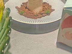 -慢丽江·云南野生菌土鸡锅(付家庄店)