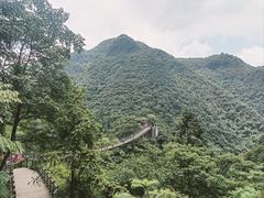 -娄山关景区