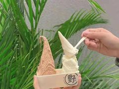 -野人先生现做冰淇淋(北京环宇荟店)