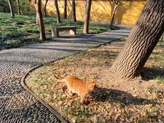 -西园戒幢律寺