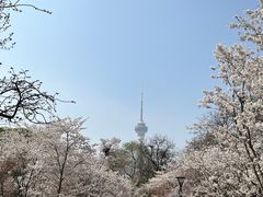 -圣手盲人按摩(苏州街店)