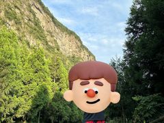 -重庆睡佛山森林公园