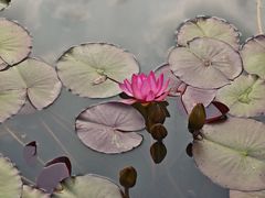 -云溪植物园