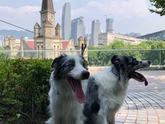 -重庆市江北嘴中央商务区中央公园