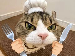 -崔酱炸鸡(世欧广场店)