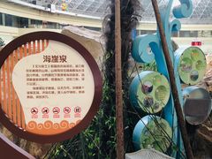 -青岛海泉湾度假区温泉