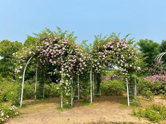 -尚贤河湿地