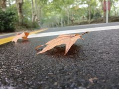 -钟山体育运动公园