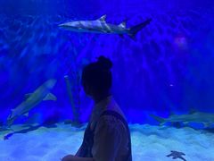 -太平洋海底世界