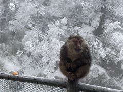 -峨眉山风景名胜区