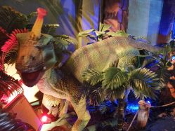 -恐龙探索乐园(磁器口店)