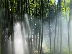 -皇家御河游(紫御湾码头)