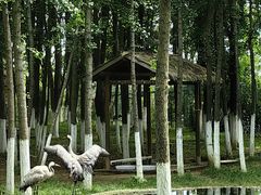 -艾溪湖湿地公园