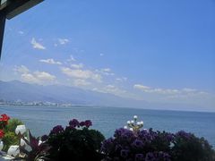 -野菌皇海景野生菌火锅(滨海大道店)