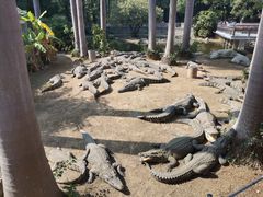 -南宁市动物园