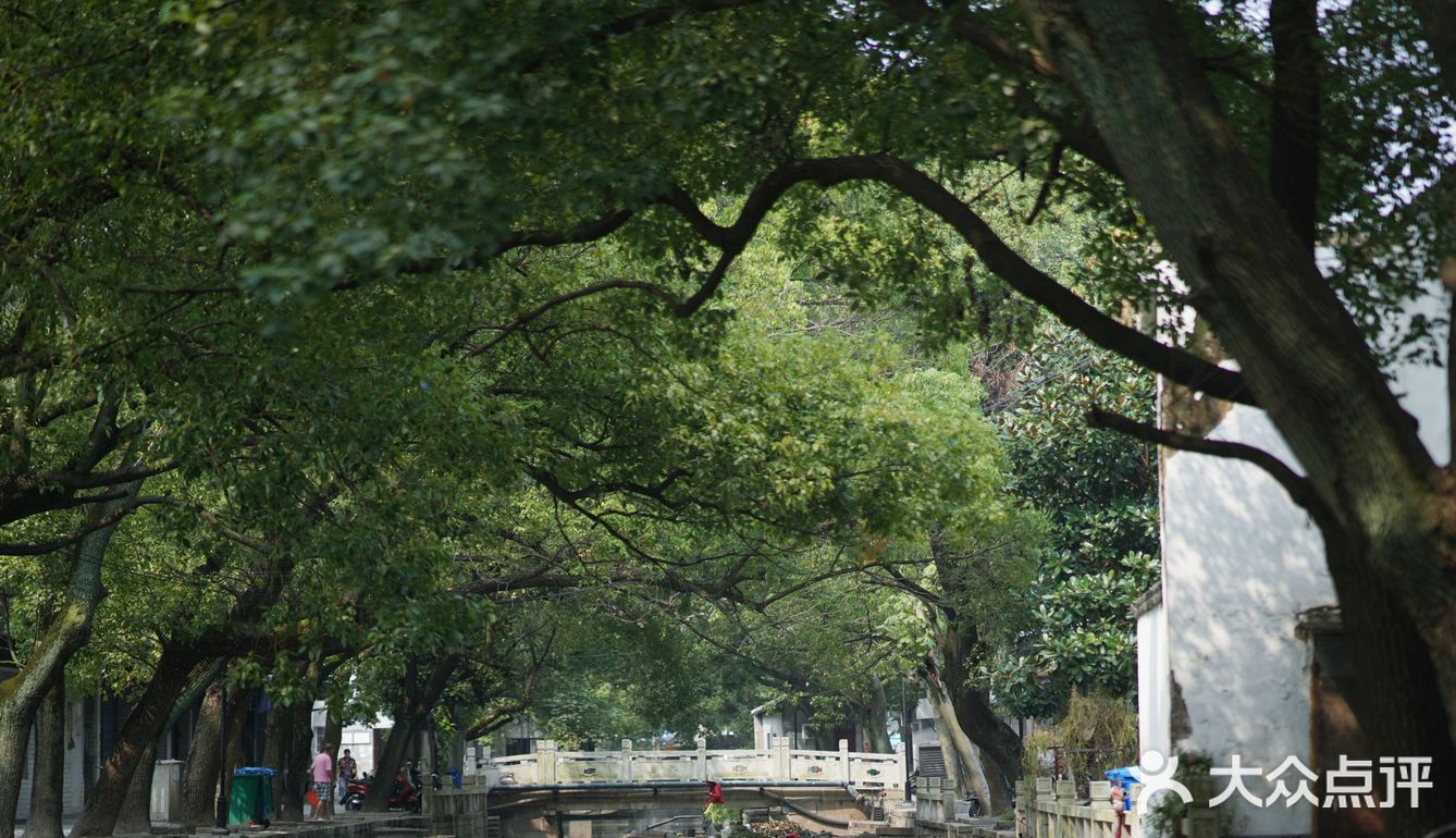 人间恍惚
