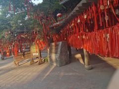 -杭州乐园