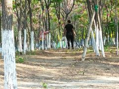 -西青郊野公园