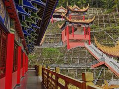 -东莞市大岭山森林公园