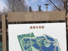 -大兴滨河森林公园