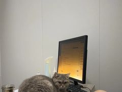 -荔康动物医院(康王北路店)