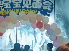 -帝企鹅自助餐厅•儿童岛•真企鹅(长隆企鹅酒店)