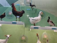 -国家自然博物馆