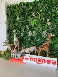 -IMON·HANSA潮玩玩偶毛绒玩具(通州万象汇店)